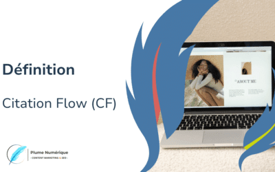 Pourquoi le Citation Flow est clé pour votre stratégie de netlinking