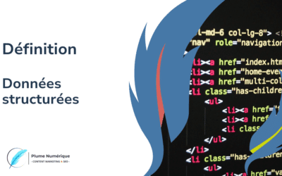 Définition Données structurées