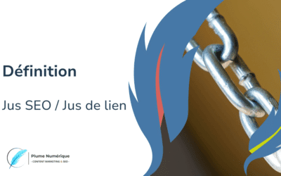 Définition jus SEO