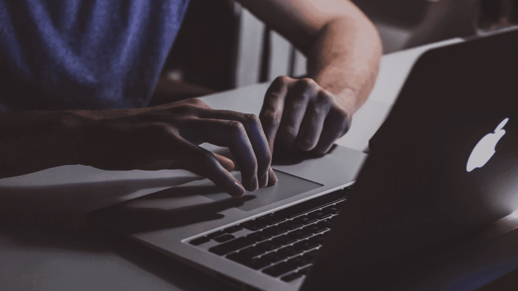 les services de Plume Numérique : rédaction web, consultant SEO, Copywriting